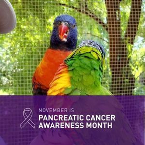 Meet your Posher, Todd